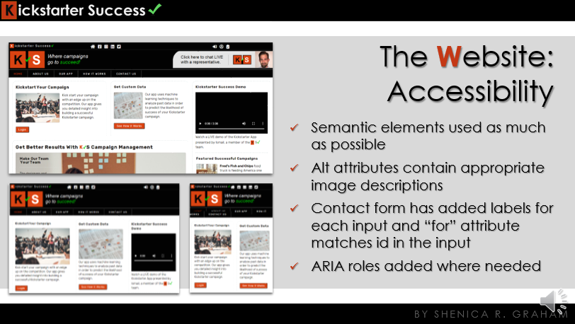 Slide 12: The Website - Accessibility